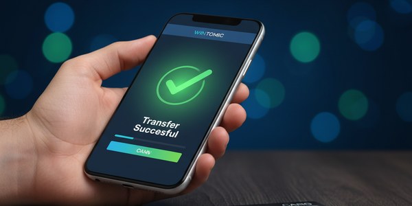 Wintomic Payment Methods